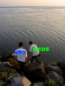 写真