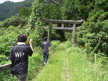 写真