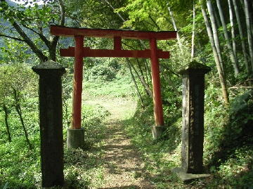 写真