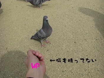 GIFアニメ