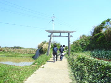 写真