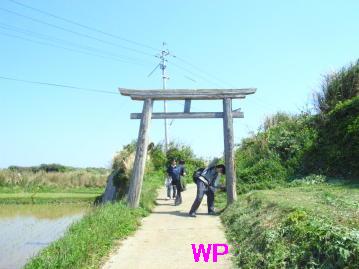 写真