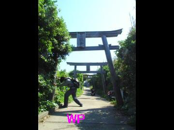写真